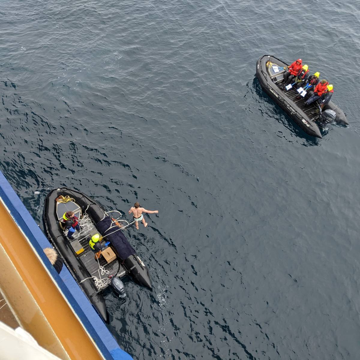 Polar plunge in Antarctic waters