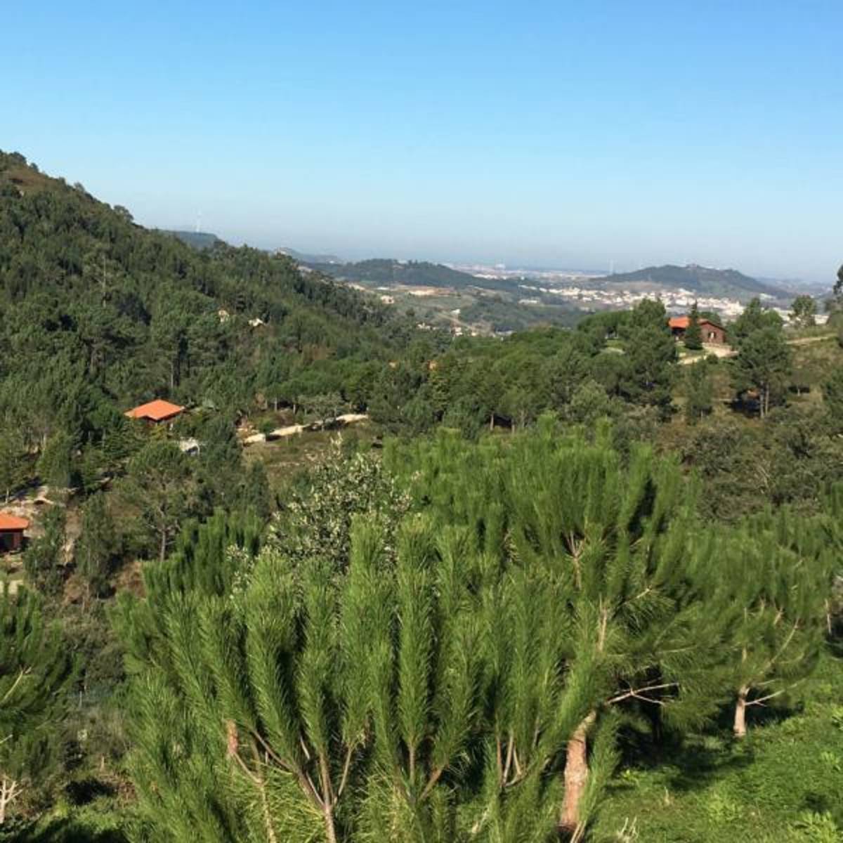 A beautiful green view in Portugal