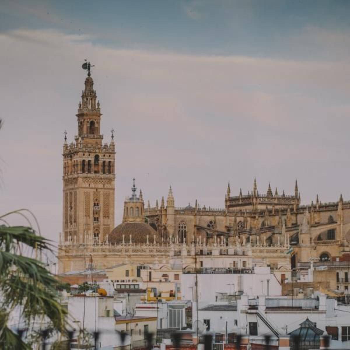 Prepare for DELE in Seville, Spain