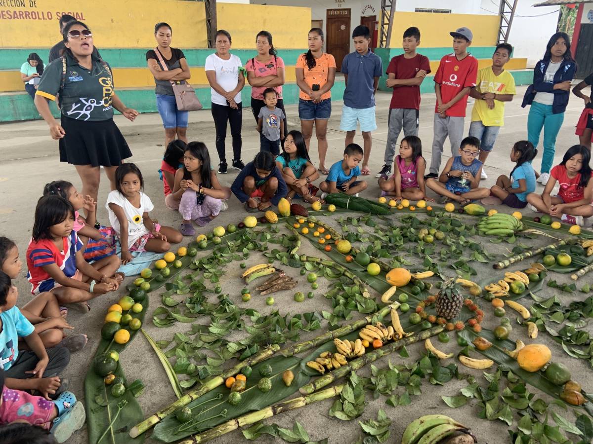 Public Health and Wash Engineering Internship, Ecuador