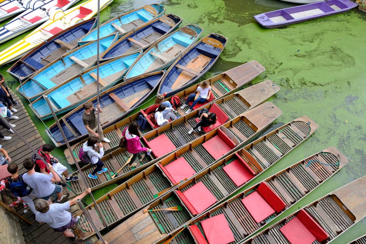 Punting boats