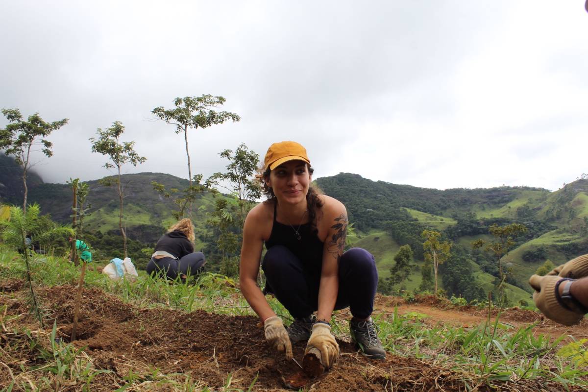 Rainforest Conservation Research Intern in Brazil