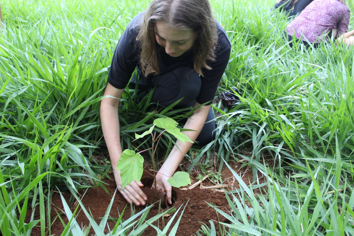 Rainforest Conservation Research Intern in Brazil
