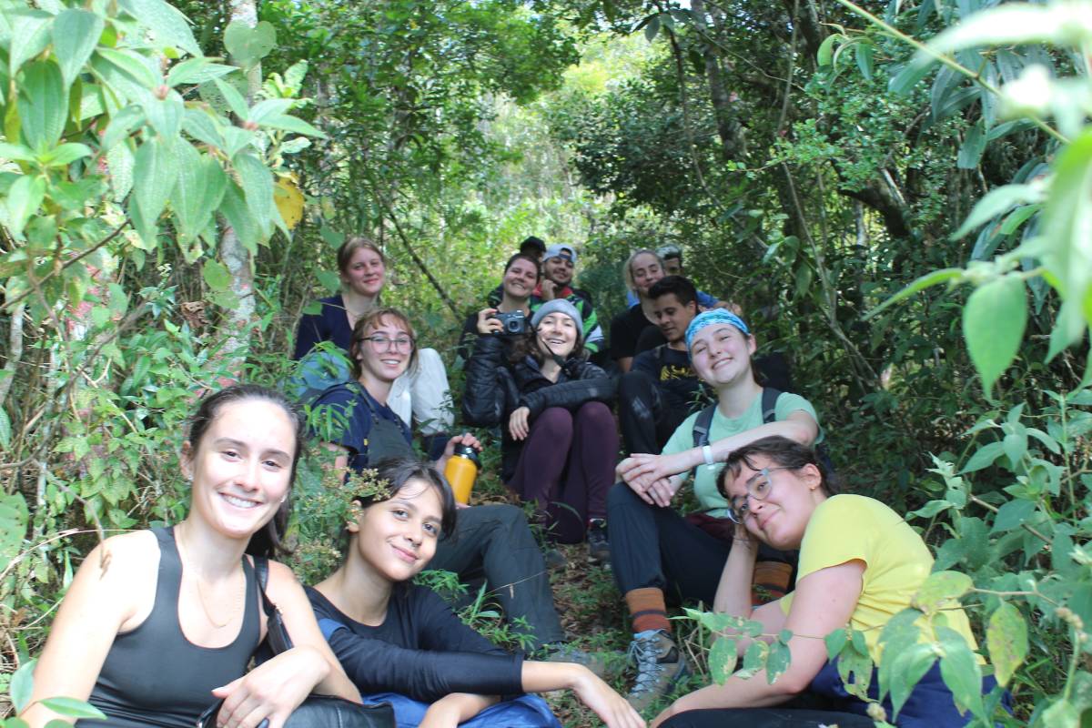 Rainforest Conservation Research Interns in Brazil