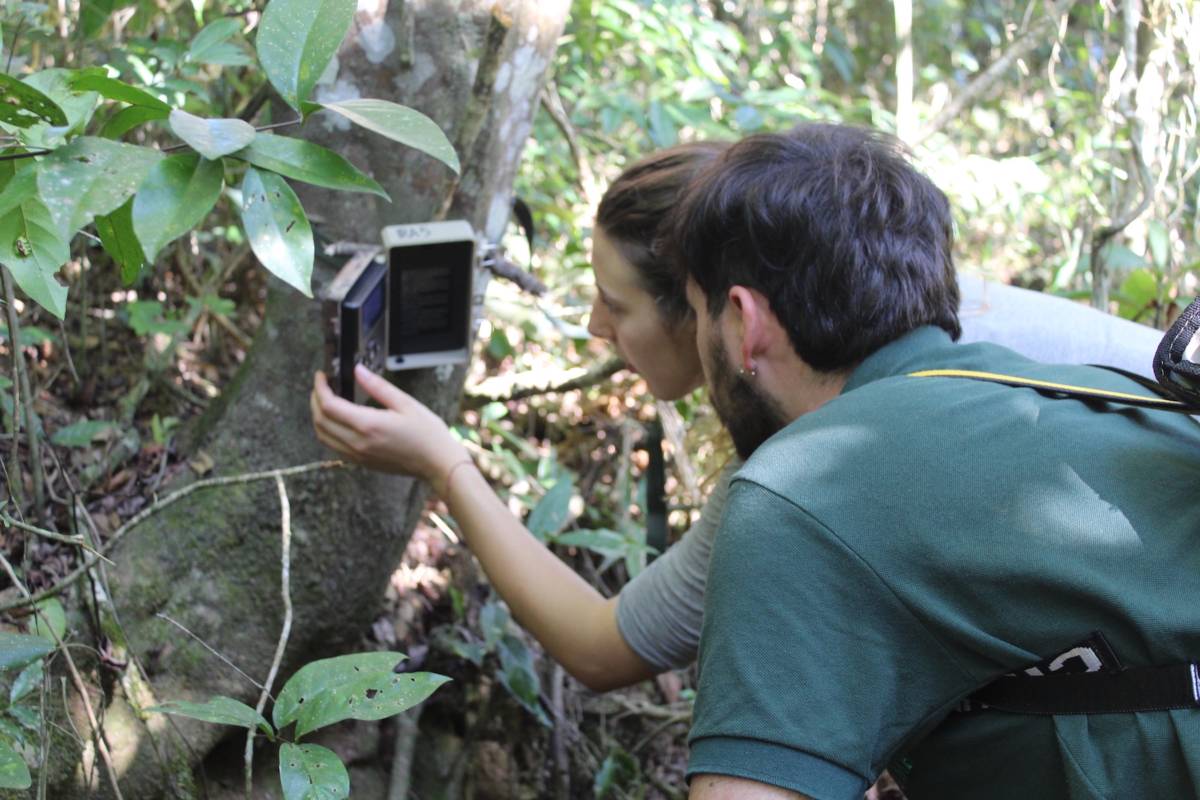 Rainforest Conservation Research Interns in Brazil