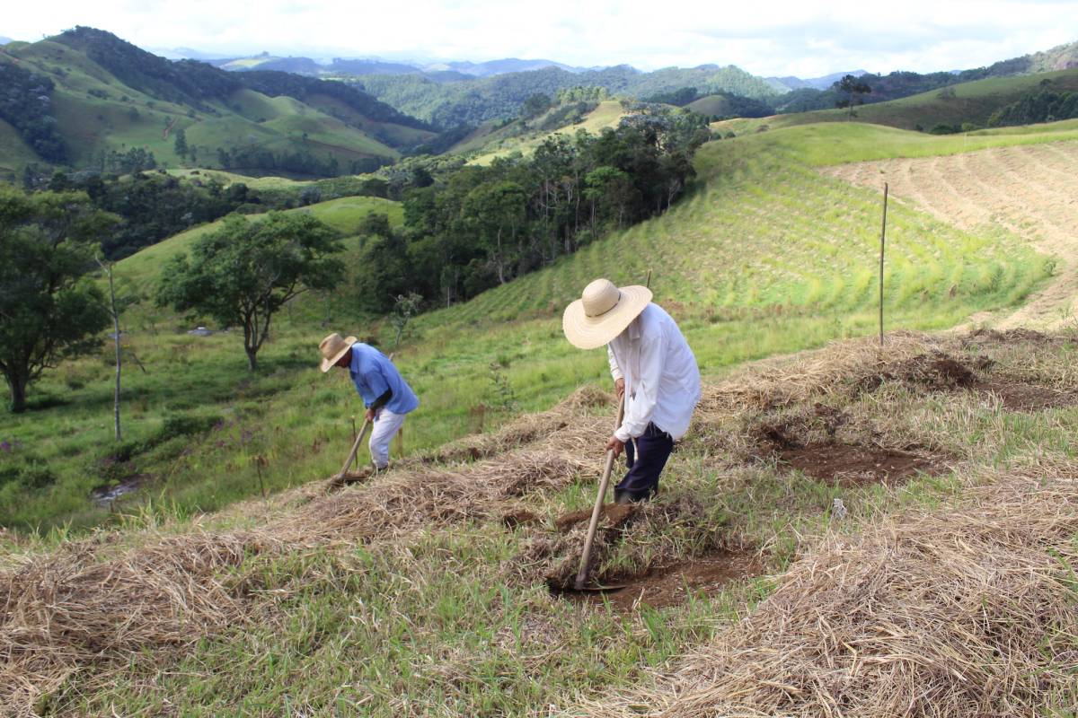 Rainforest Conservation Research Internship in Brazil