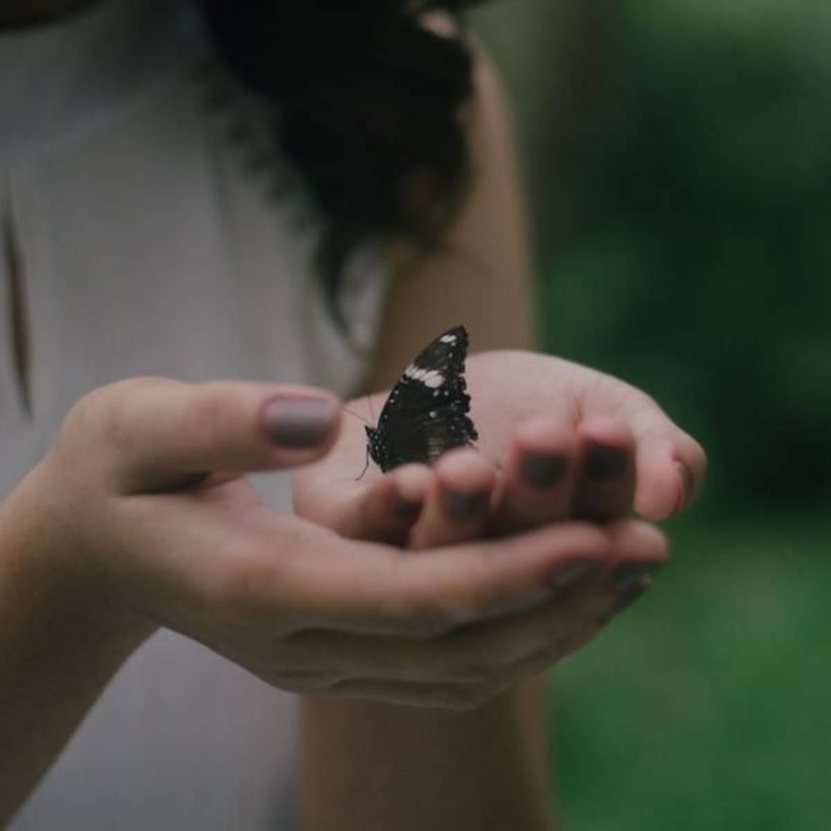 Ecotourism internships