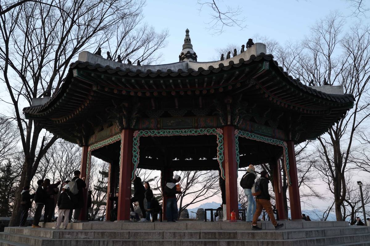 RVF International - South Korea