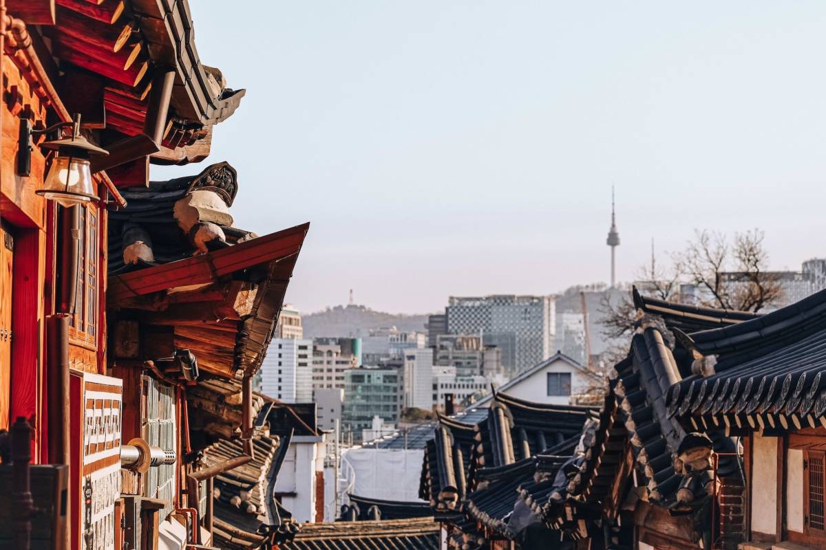 RVF International - South Korea