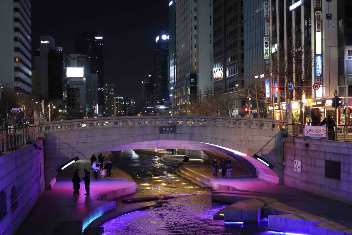 RVF International - South Korea