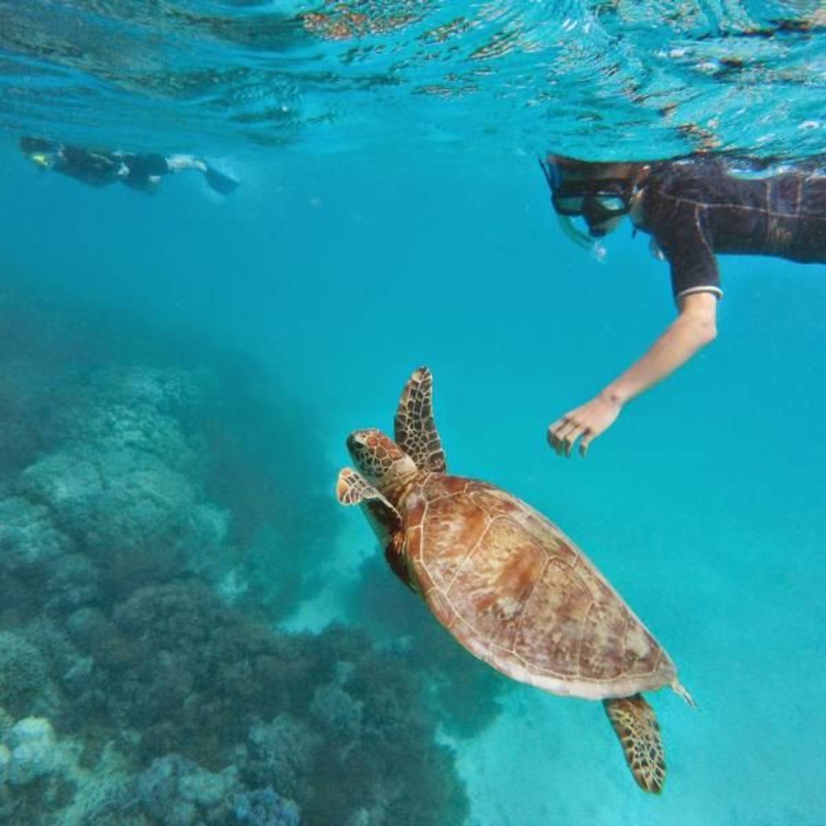 Snorkeling in South America