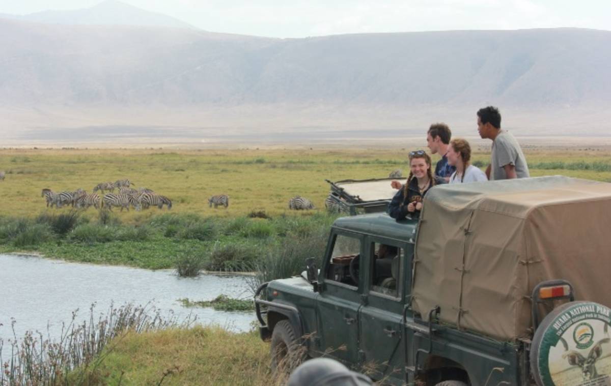 safari-tarangire-national-park-kilimanjaro