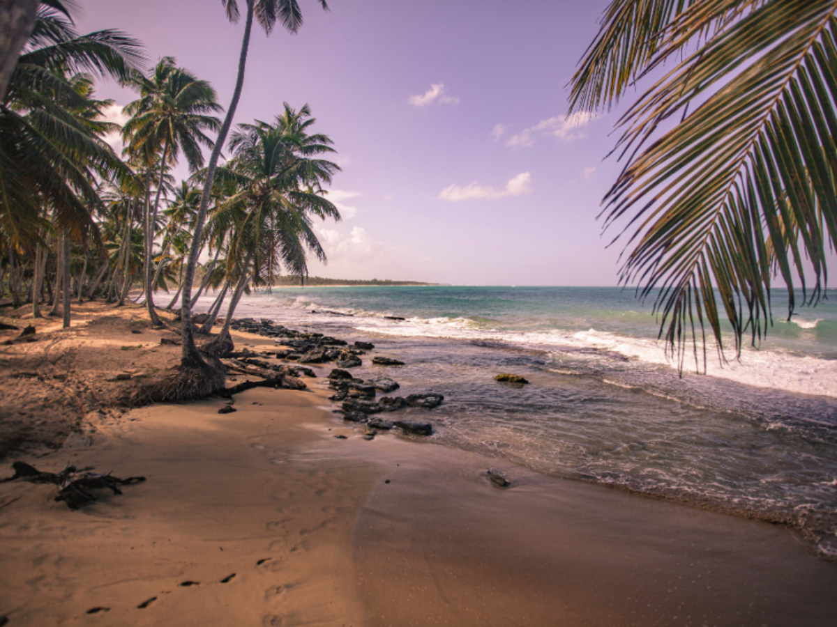 Scenic view of a palm-lined beach in Playa Tamarindo, Costa Rica, with golden sand, gentle waves, and a purple-tinted sky creating a peaceful tropical atmosphere.