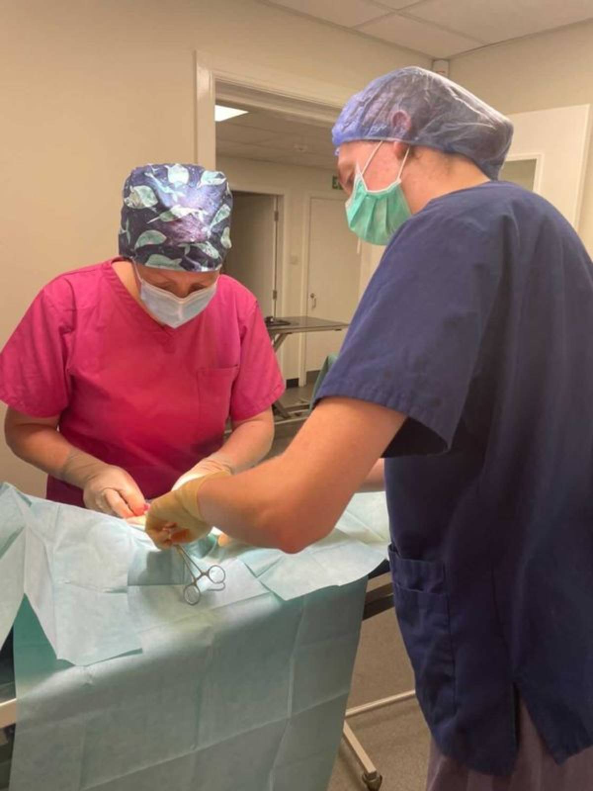 Scotland veterinary Program