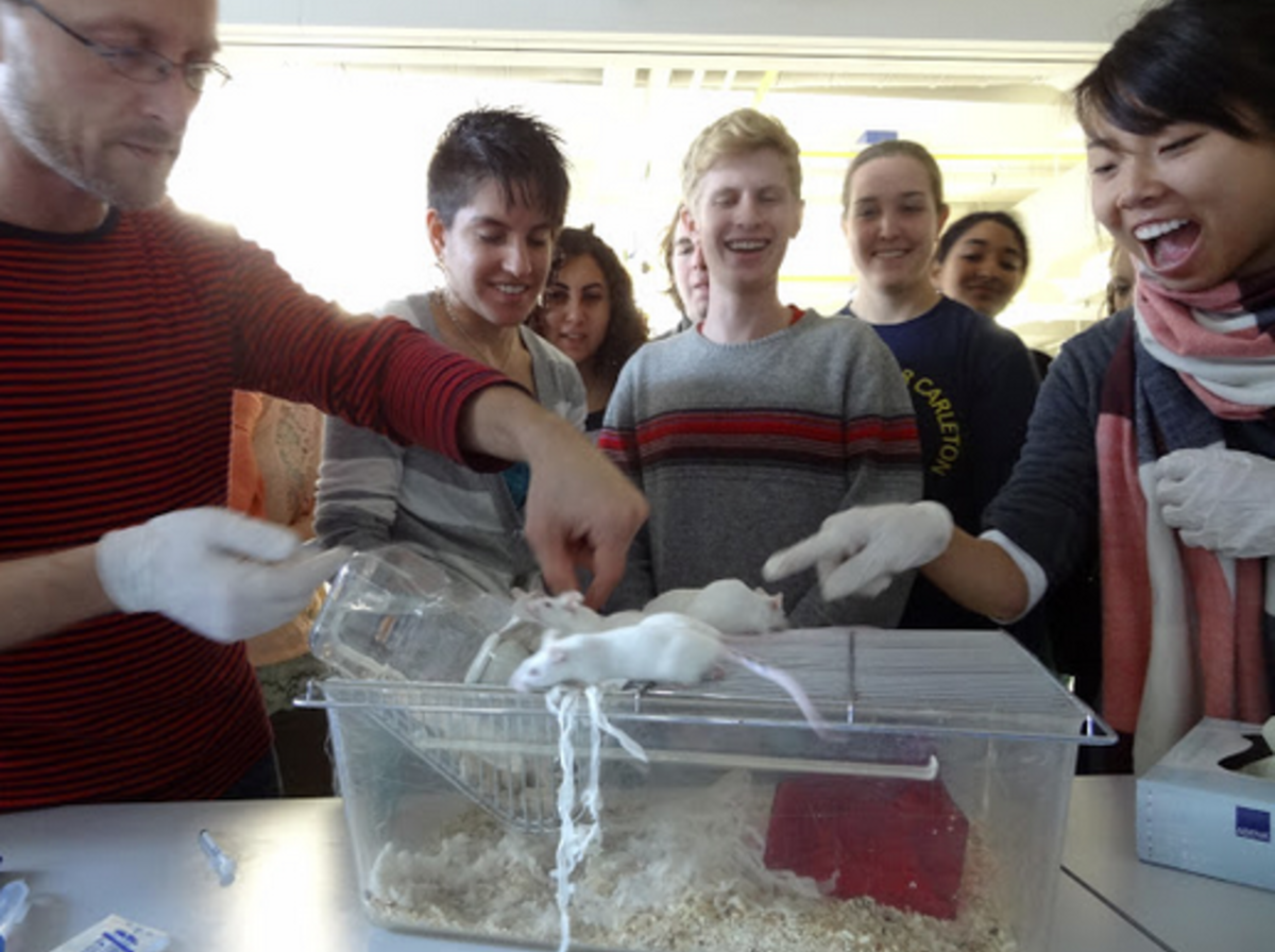 Study Neuroscience in Copenhagen