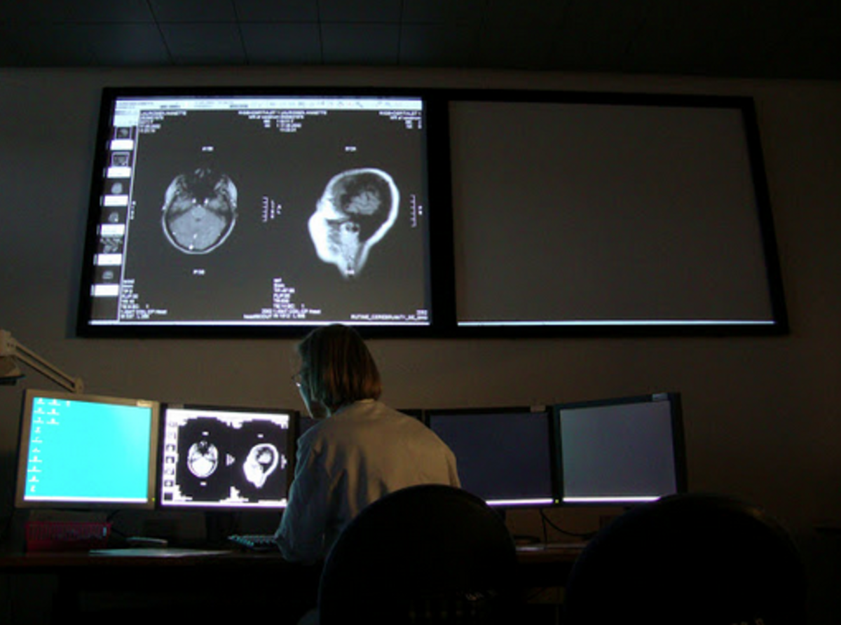 Study Neuroscience in Copenhagen