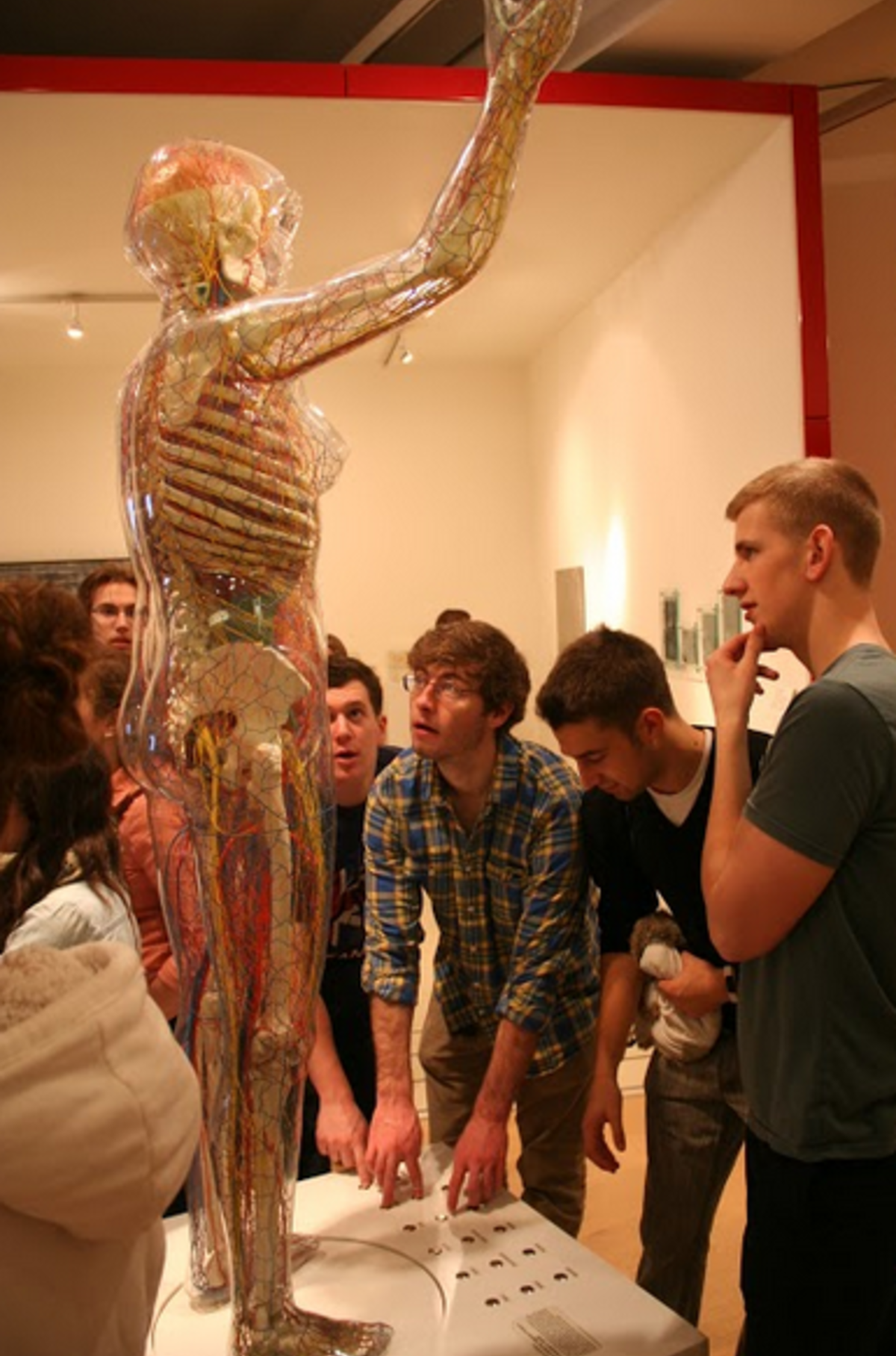 Study Biomedicine in Copenhagen