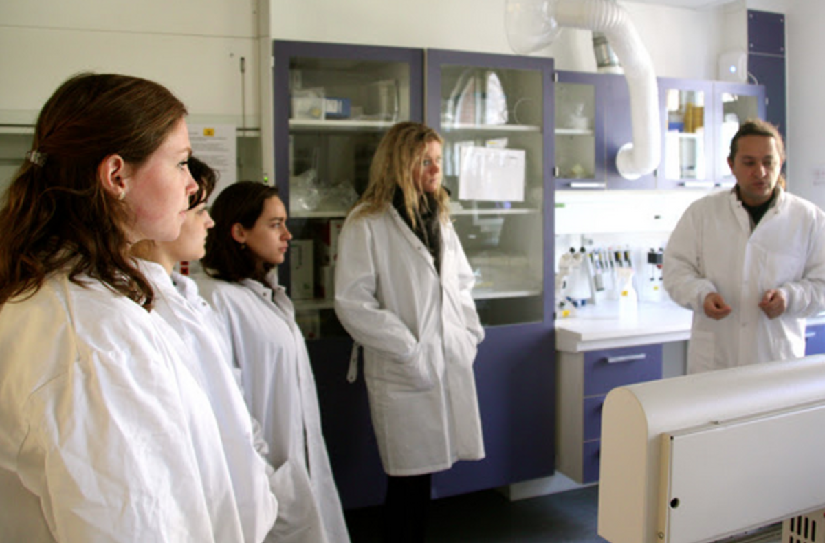 DIS Copenhagen – Biomedicine — photo 7