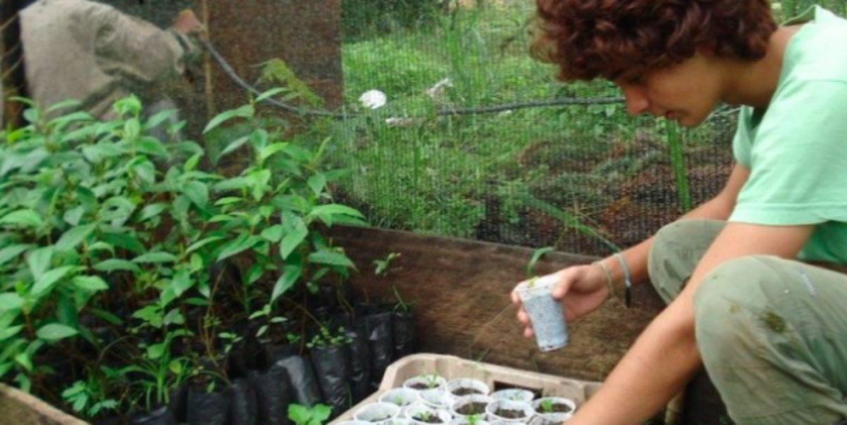Agro Forestry and Environmental Conservation in Ecuador — photo 2
