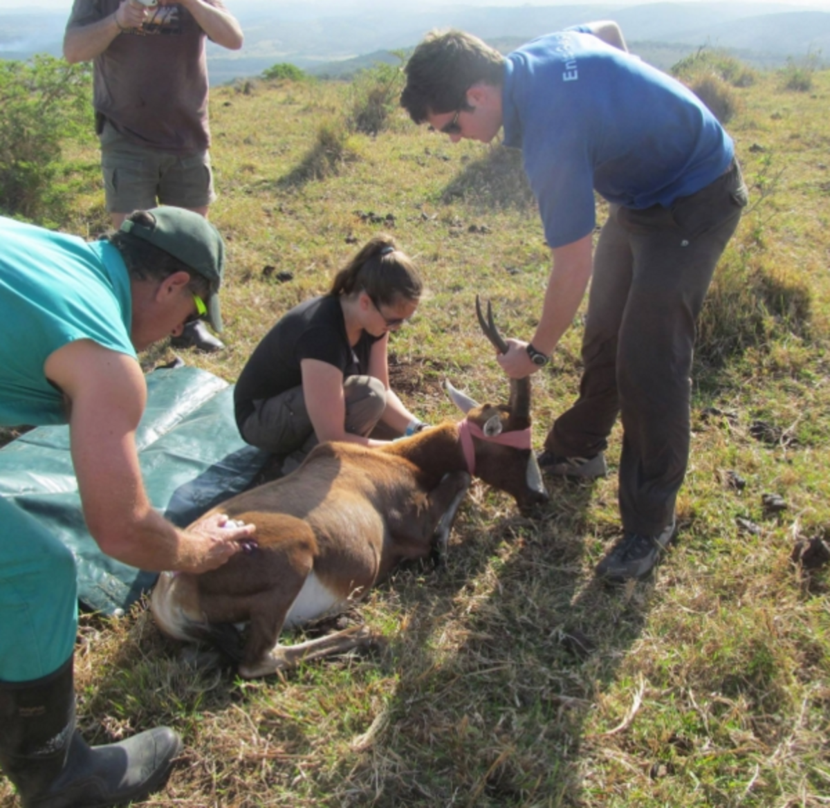 Pre-Veterinary Internship in South Africa — photo 2