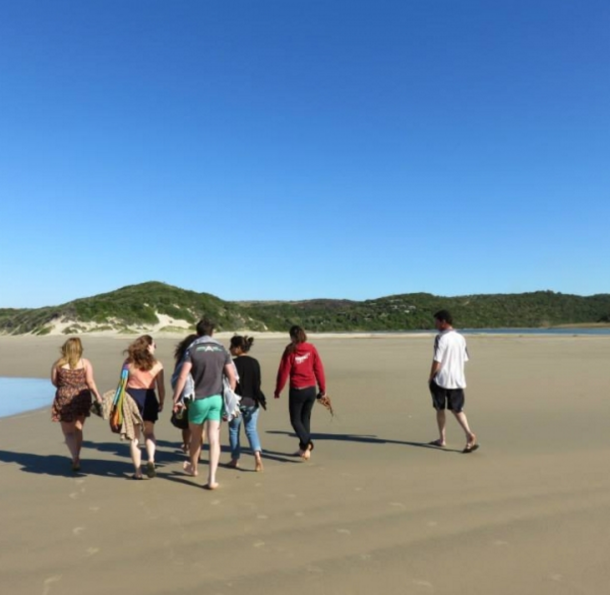 Pre-Veterinary Internship in South Africa — photo 4
