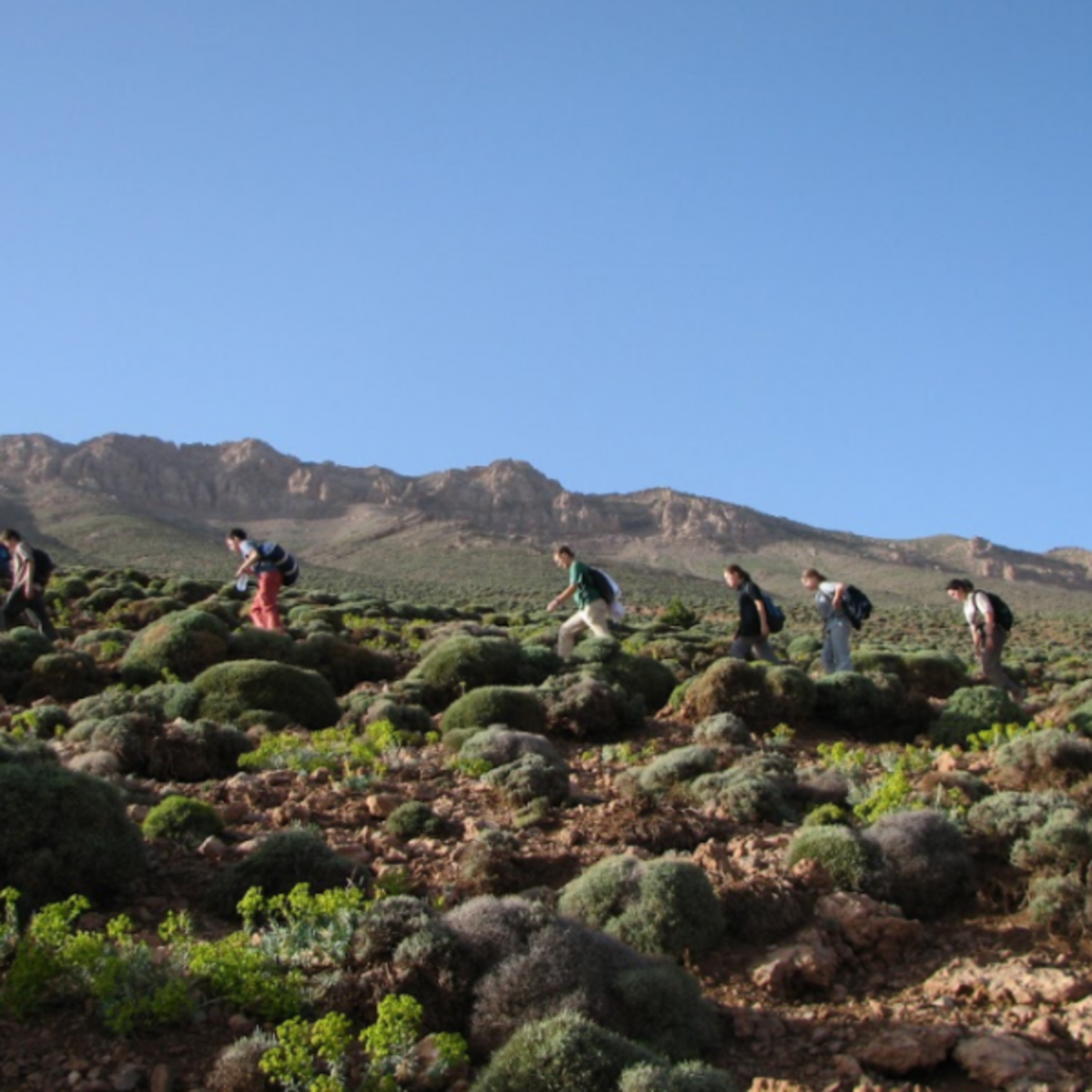 Where There Be Dragons: Morocco