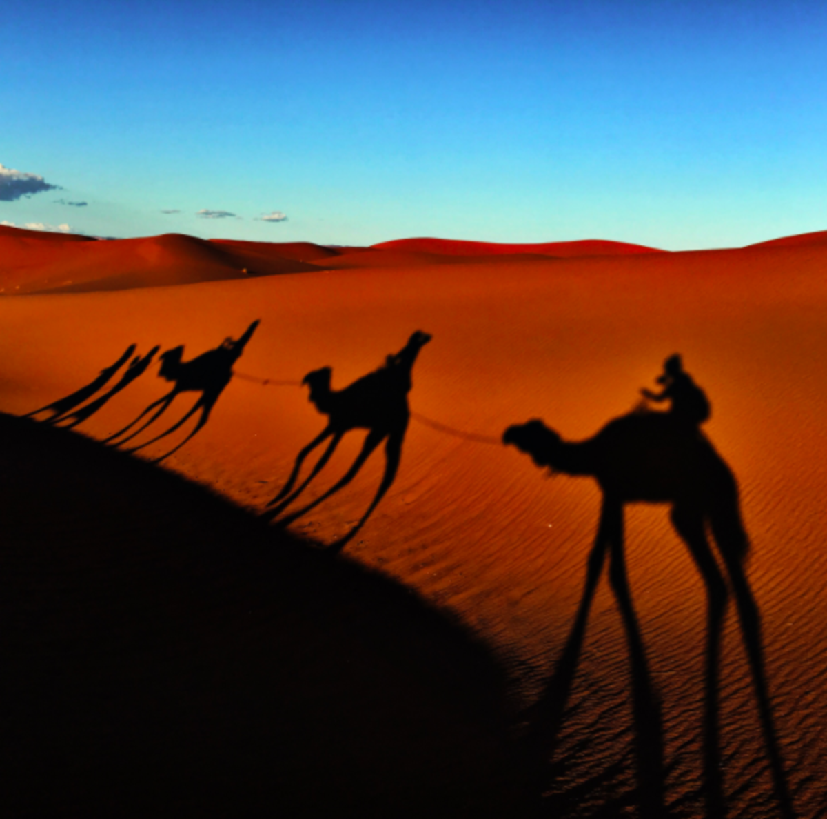 Study Moroccan colloquial Arabic through regular lessons which focus on developing key communication abilities.