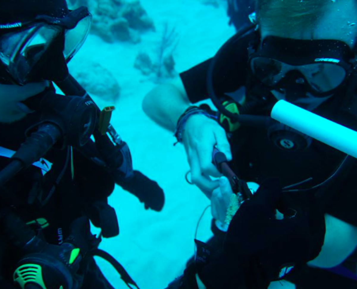 Cosa Rica Marine Conservation