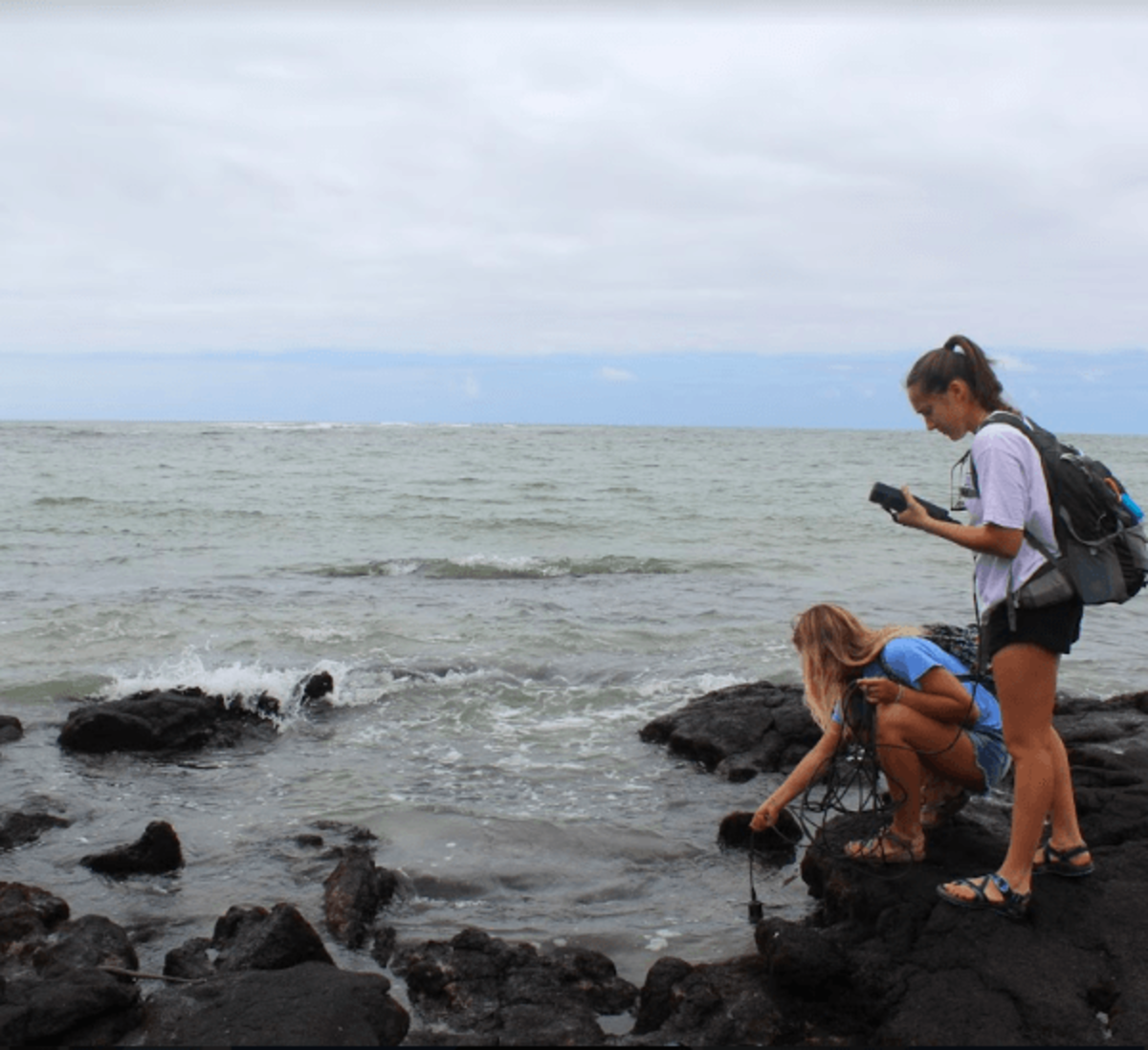 Ecotourism Volunteer