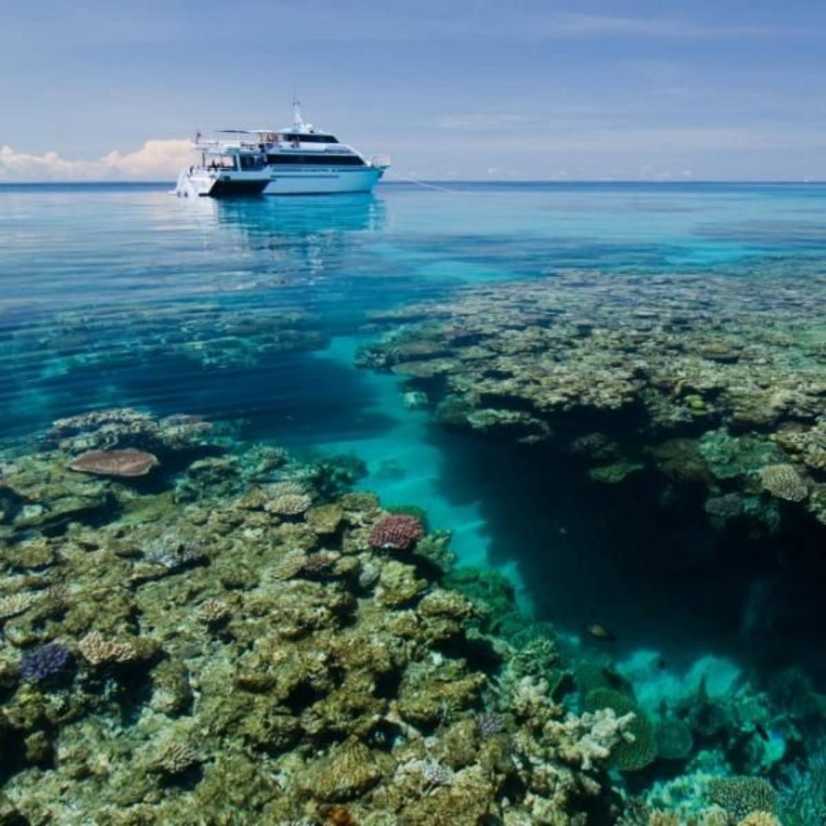 GoEco Australia - Great Barrier Reef Conservation