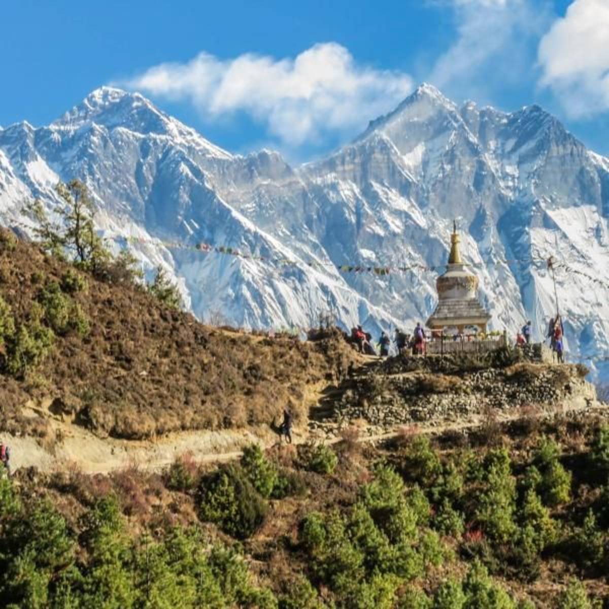 Nepal Interns