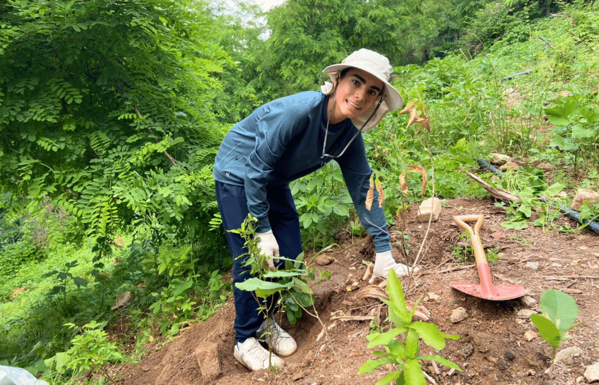 Seoul Culture Week & Environmental Volunteering