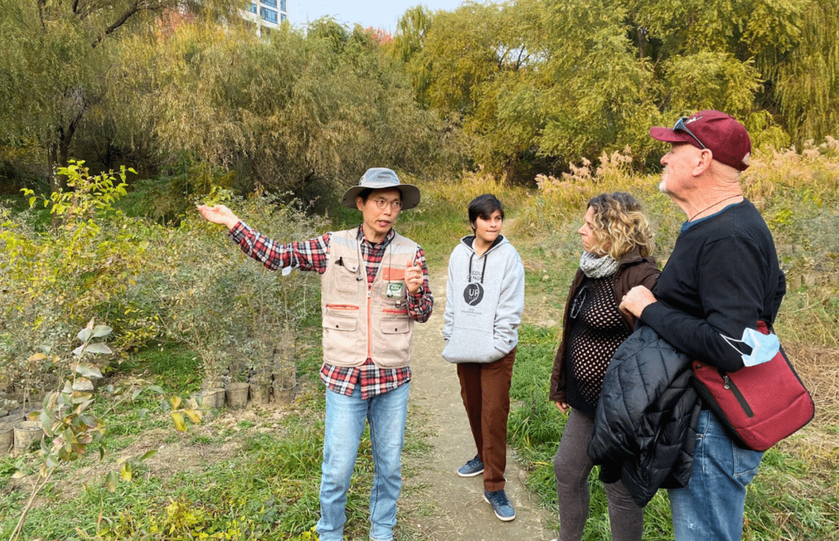 Seoul Culture Week & Environmental Volunteering
