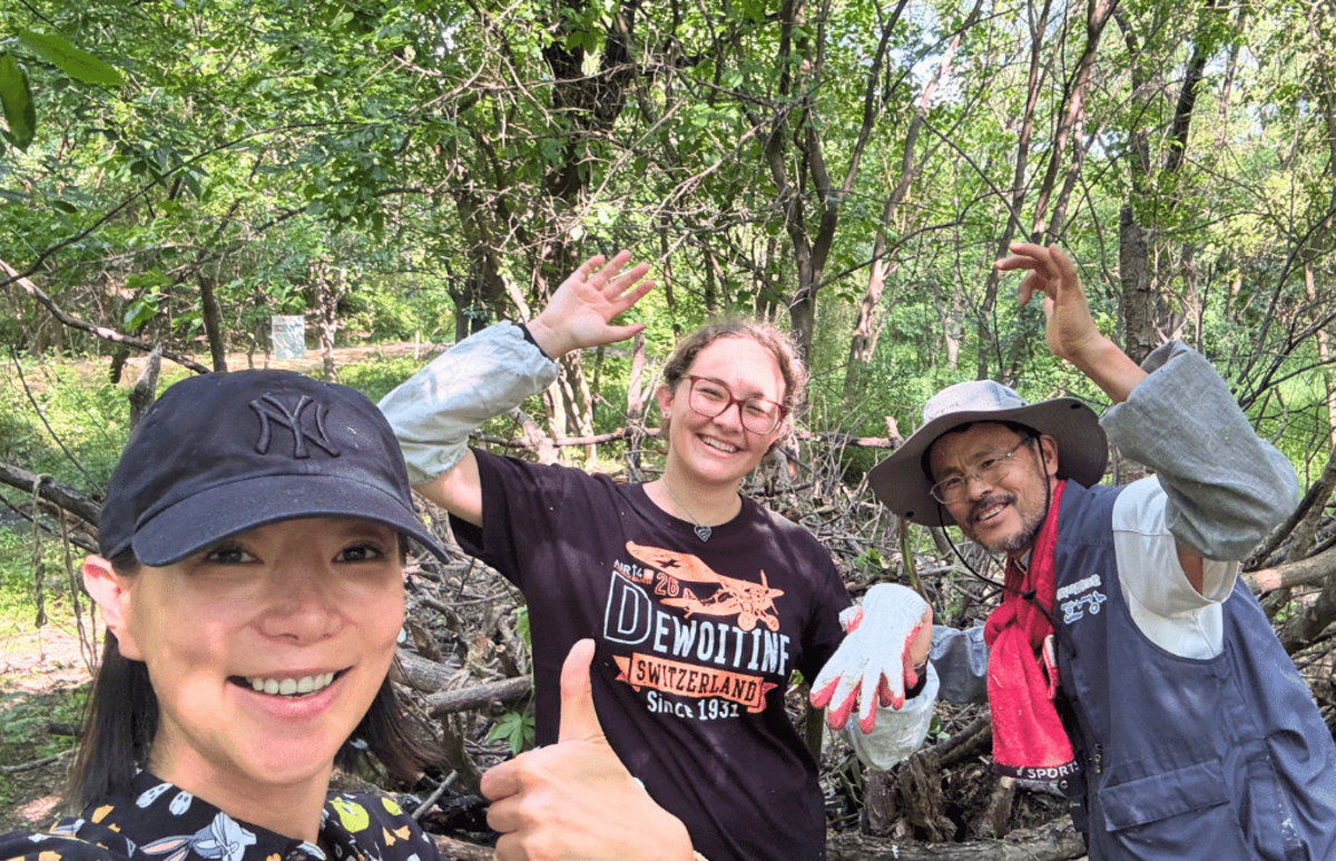 Seoul Culture Week & Environmental Volunteering