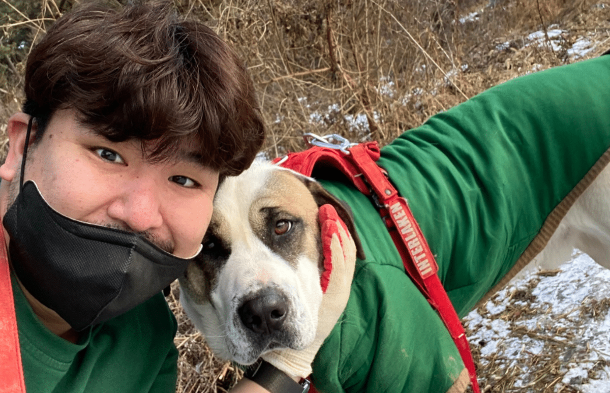 Seoul Culture Week & Rescued Animal Care Volunteering