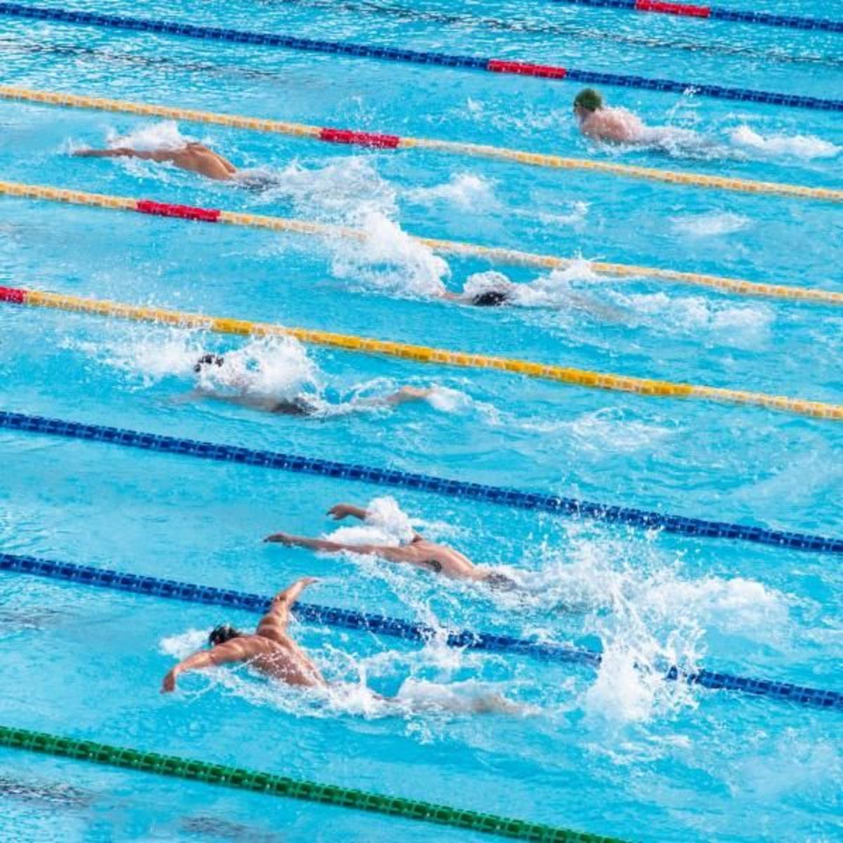 Archeology Internship