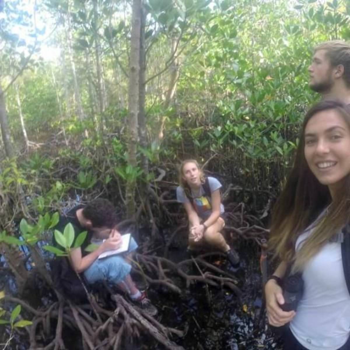 GoEco Seychelles - Wildlife Conservation Expedition