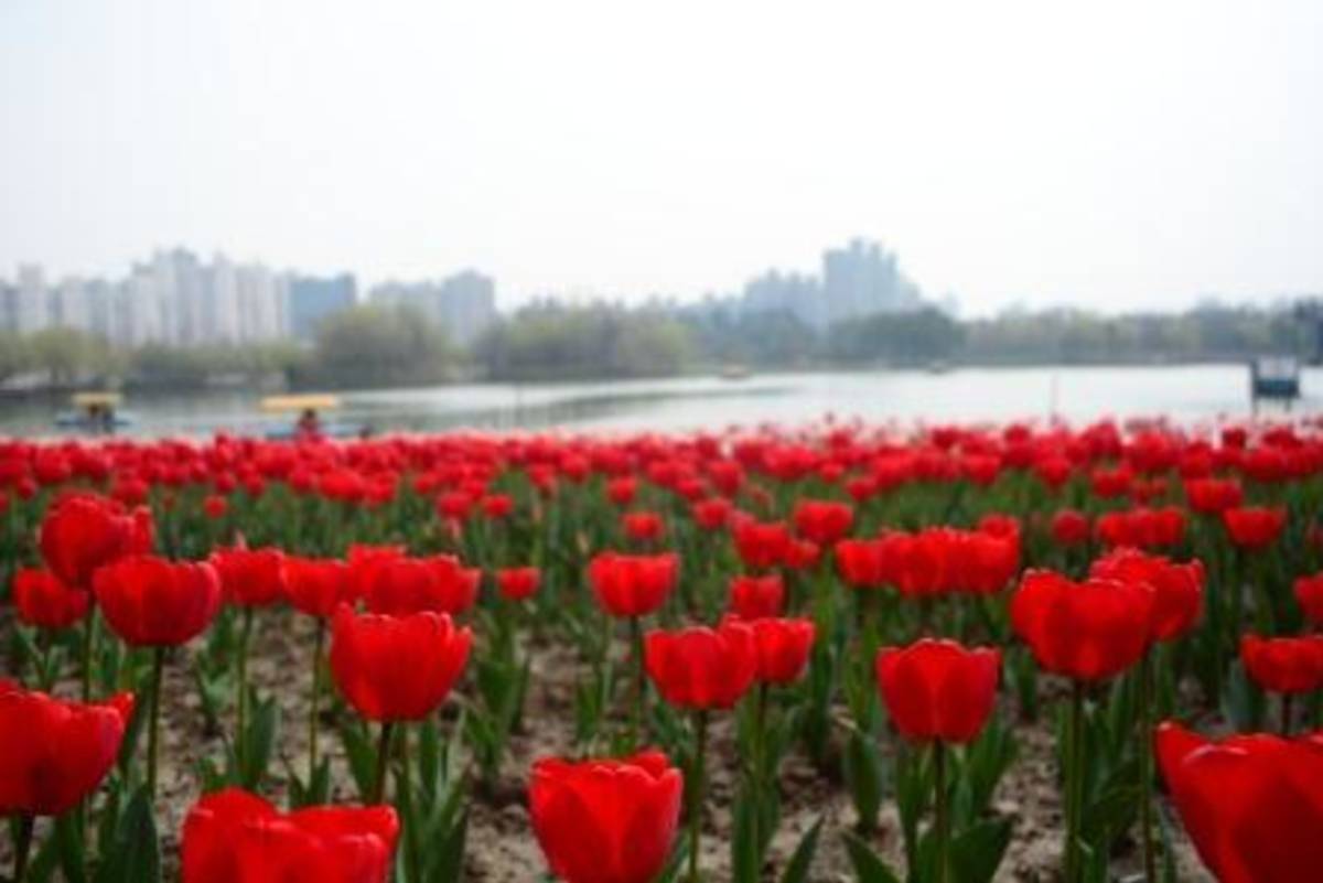 USAC CHINA: Shanghai-International Business Studies — photo 4