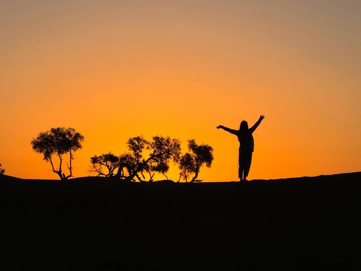 silhouette 