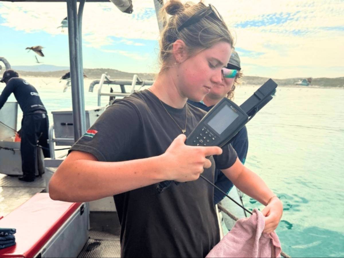 South Africa – Marine Biology Internship