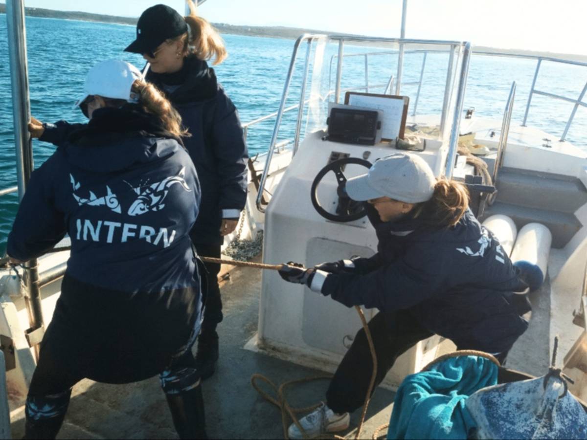 South Africa – Marine Biology Internship