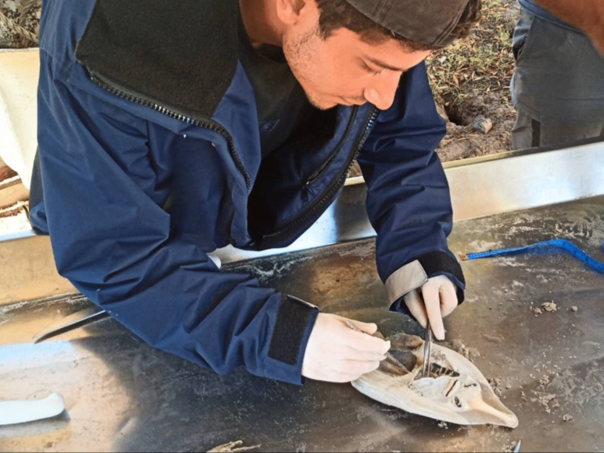 South Africa – Marine Biology Internship