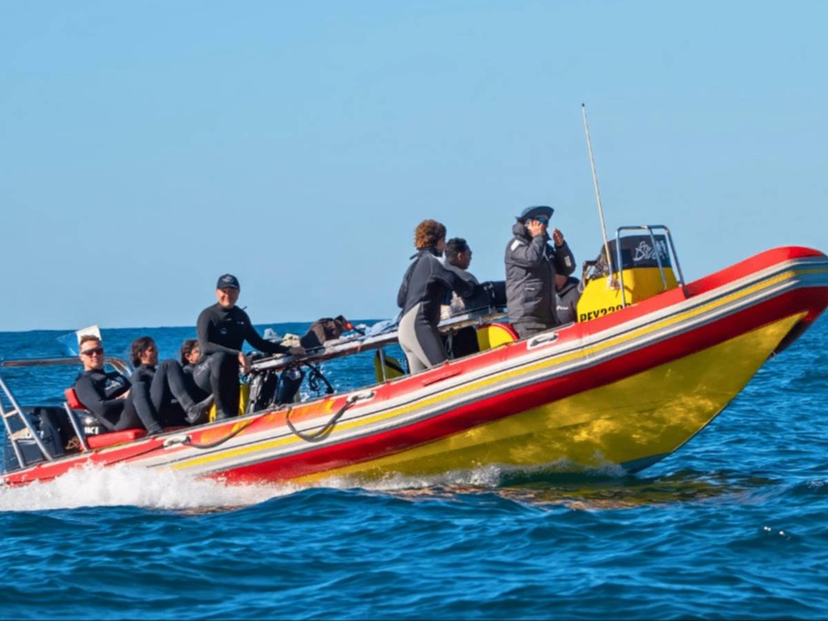 South Africa – Sardine Run Ocean Expedition