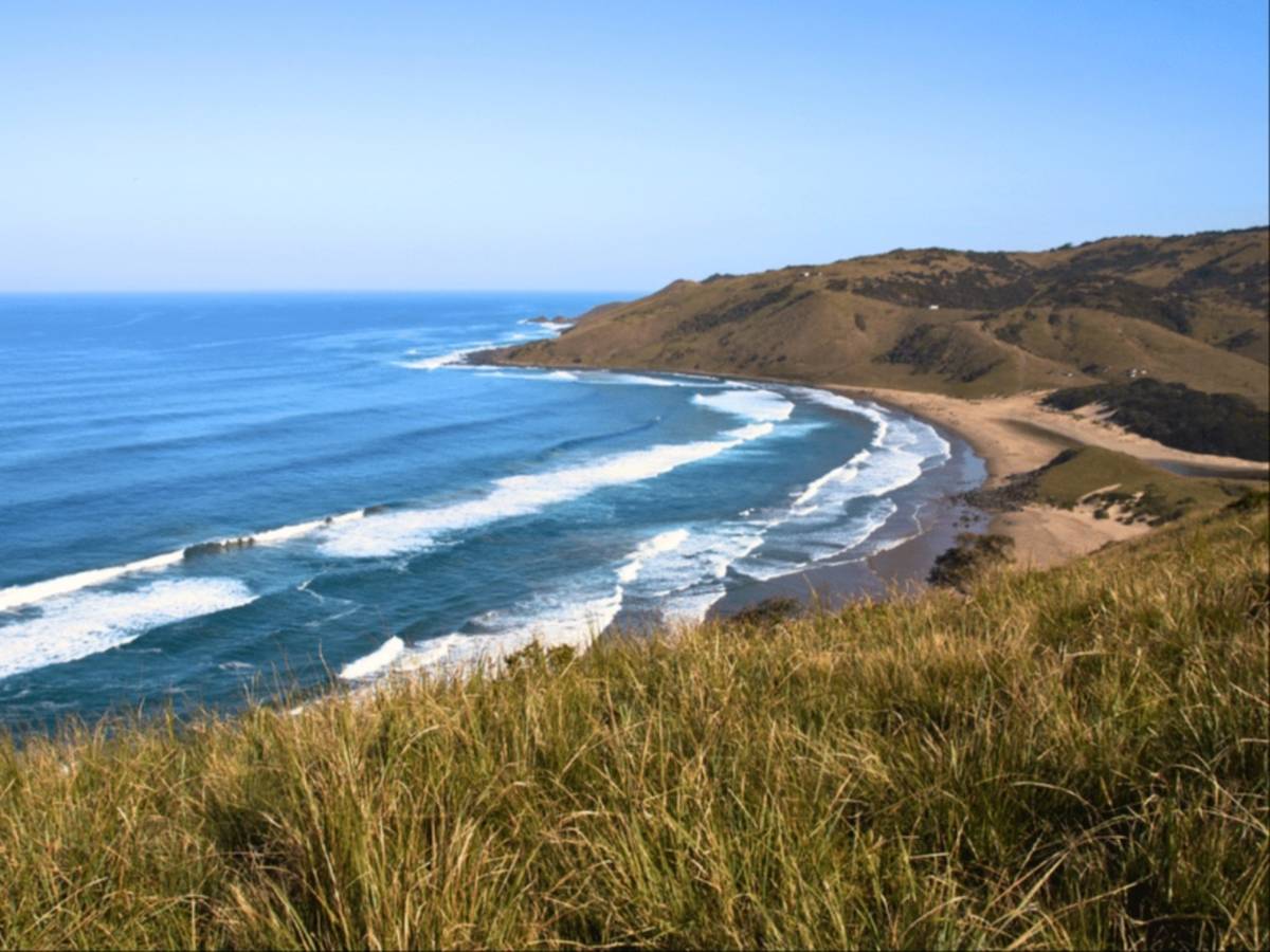 South Africa – Sardine Run Ocean Expedition