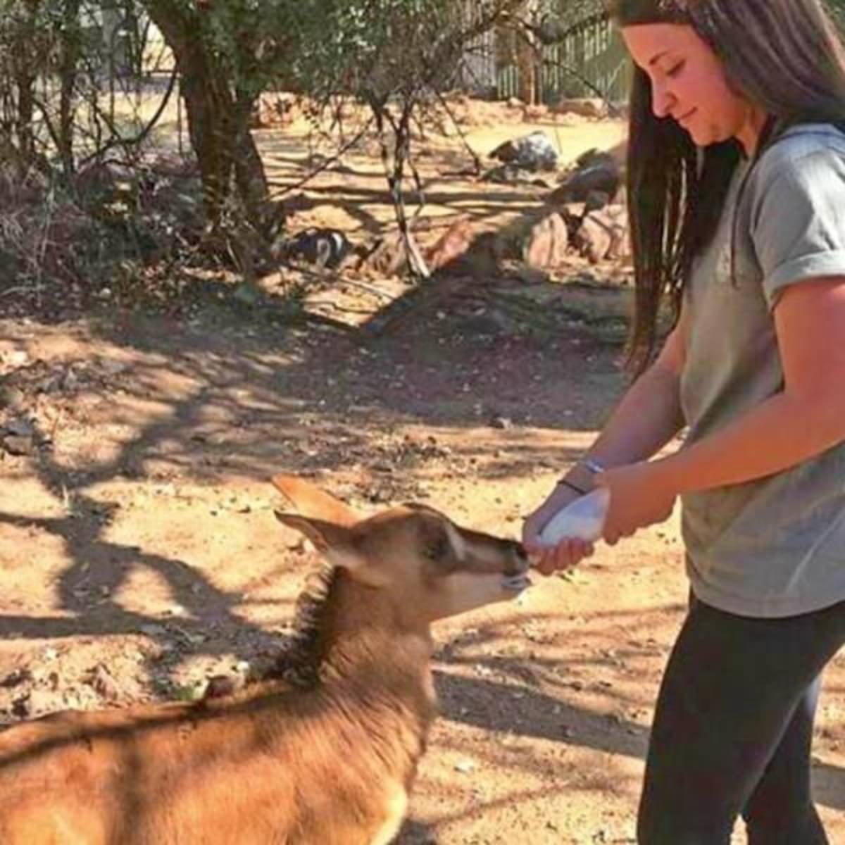 GoEco South Africa - Wildlife Rehabilitation Center