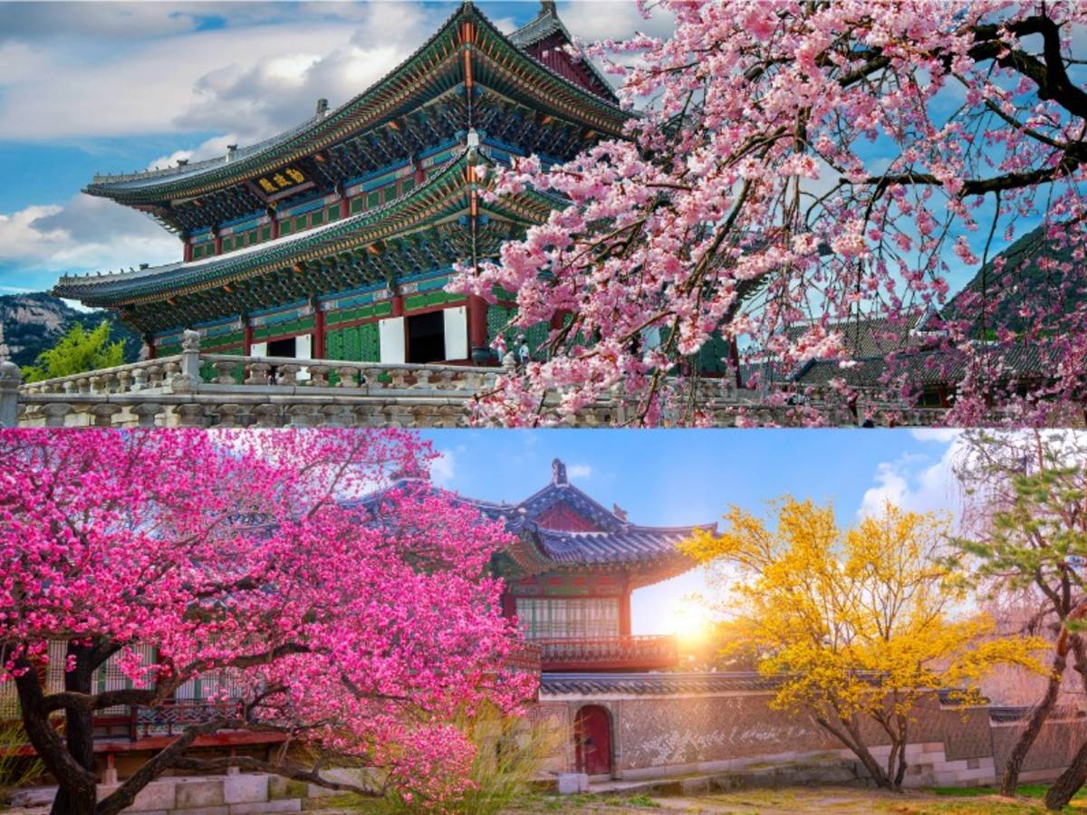 South Korea view
