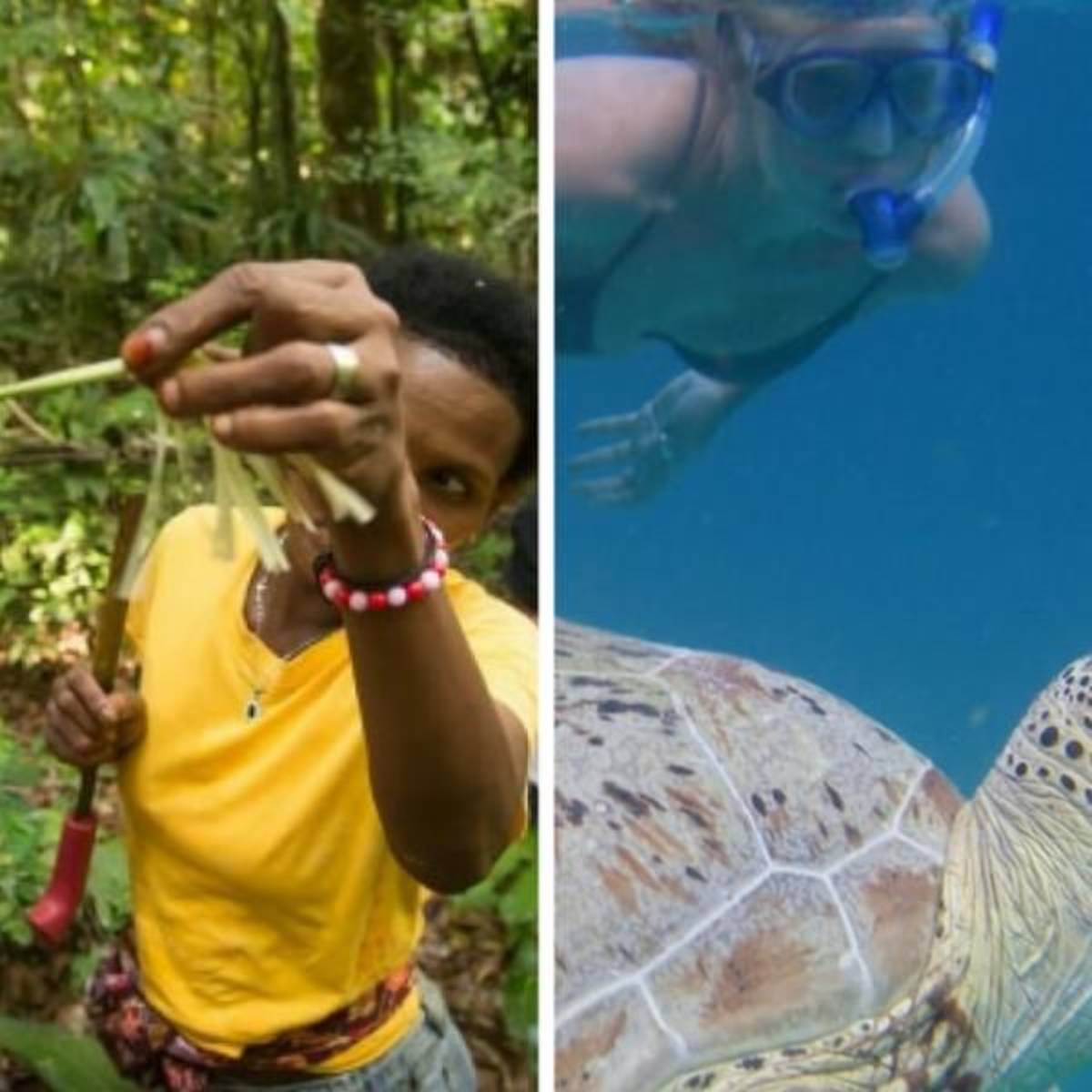 Malaysia - Jungle Trekking and Sea Turtle Conservation