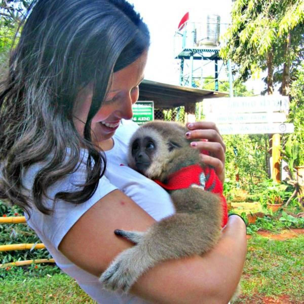 Thailand - Gibbon Primate Sanctuary