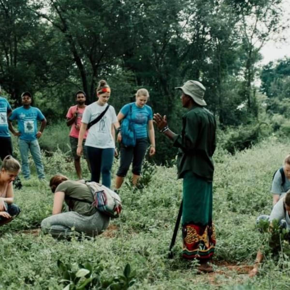 GoEco Sri Lanka - Wild Elephant Conservation and Research