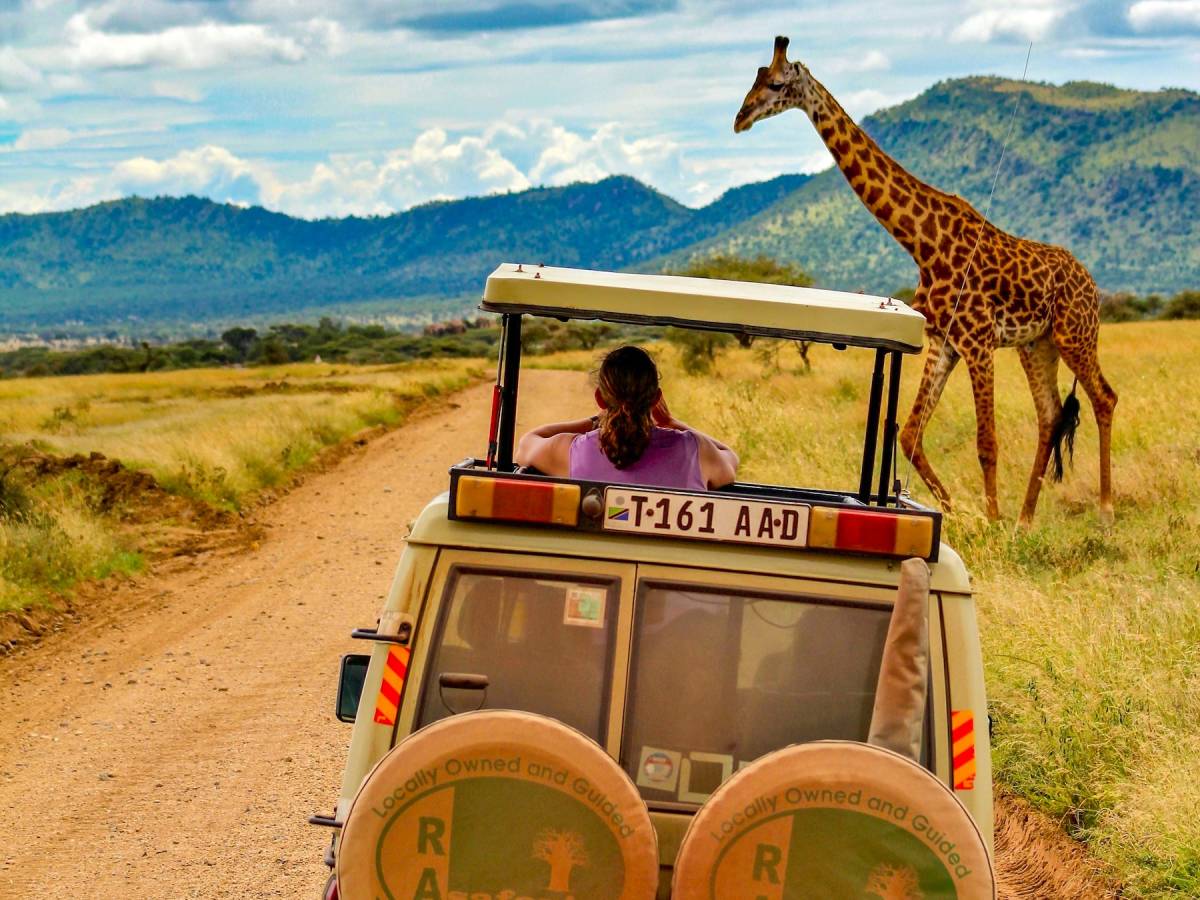Student in safari jeep with giraffe